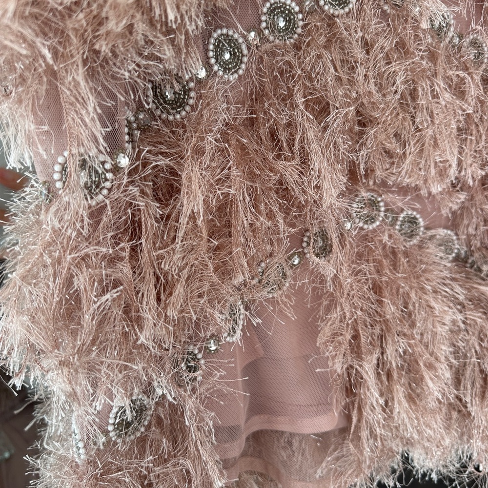 ASOS Blush Feathered Jacket with Silver Details - Picture 11 of 11